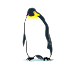 Penguin Colony 2 sticker #6494108
