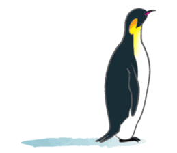 Penguin Colony 2 sticker #6494110