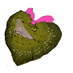 Girl of Frilled Lizard