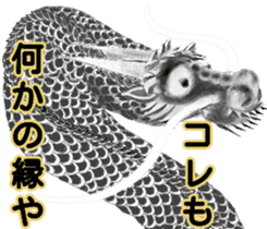 Legend of dragon & Kansai dialect sticker #6494529