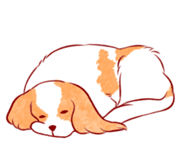 Kawaii Dog!! Cavalier Sticker sticker #6500272