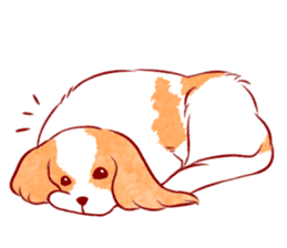 Kawaii Dog!! Cavalier Sticker sticker #6500273