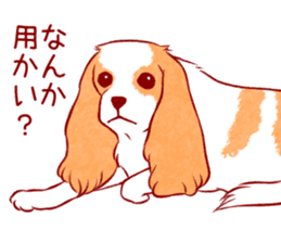 Kawaii Dog!! Cavalier Sticker sticker #6500276