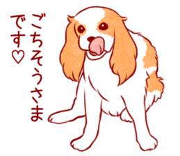Kawaii Dog!! Cavalier Sticker sticker #6500279