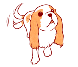 Kawaii Dog!! Cavalier Sticker sticker #6500281