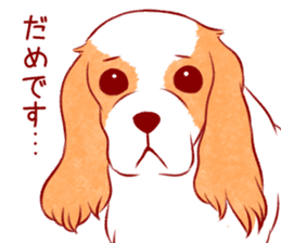 Kawaii Dog!! Cavalier Sticker sticker #6500285