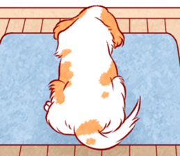 Kawaii Dog!! Cavalier Sticker sticker #6500291