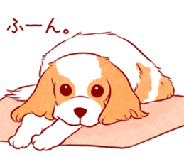 Kawaii Dog!! Cavalier Sticker sticker #6500292