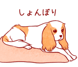 Kawaii Dog!! Cavalier Sticker sticker #6500294