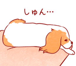 Kawaii Dog!! Cavalier Sticker sticker #6500295