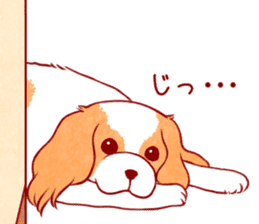Kawaii Dog!! Cavalier Sticker sticker #6500296