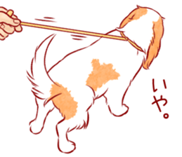 Kawaii Dog!! Cavalier Sticker sticker #6500297