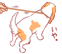 Kawaii Dog!! Cavalier Sticker sticker #6500297