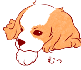 Kawaii Dog!! Cavalier Sticker sticker #6500298