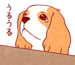 Kawaii Dog!! Cavalier Sticker sticker #6500299