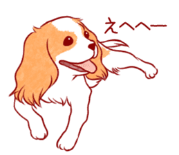 Kawaii Dog!! Cavalier Sticker sticker #6500300