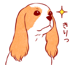 Kawaii Dog!! Cavalier Sticker sticker #6500301
