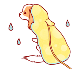 Kawaii Dog!! Cavalier Sticker sticker #6500305