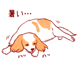 Kawaii Dog!! Cavalier Sticker sticker #6500306