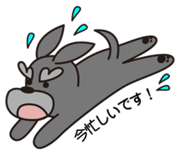 Unique Schnauzer sticker #6500700