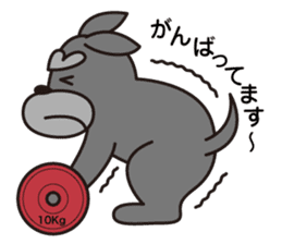 Unique Schnauzer sticker #6500703