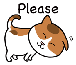 Happy life with a cat (English) sticker #6501152