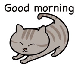 Happy life with a cat (English) sticker #6501153