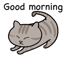 Happy life with a cat (English) sticker #6501153