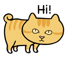 Happy life with a cat (English) sticker #6501173