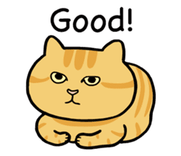 Happy life with a cat (English) sticker #6501178