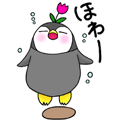 Casual daily life of the certain penguin