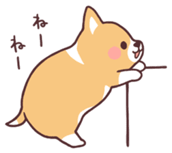 fluffy fat dog2 sticker #6503817
