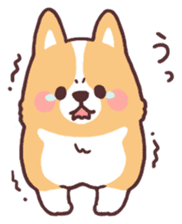 fluffy fat dog2 sticker #6503833