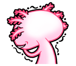 pink Axolotl live sticker #6505522