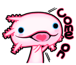 pink Axolotl live sticker #6505541