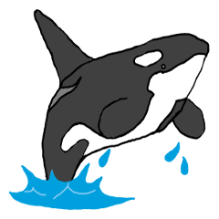 Round orcas