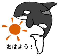 Round orcas sticker #6507952