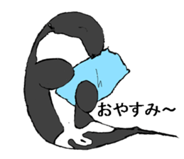 Round orcas sticker #6507953