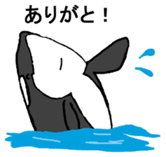 Round orcas sticker #6507954