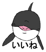 Round orcas sticker #6507958