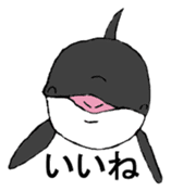 Round orcas sticker #6507958