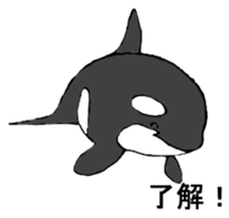 Round orcas sticker #6507961