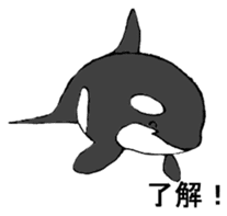Round orcas sticker #6507961