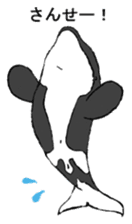 Round orcas sticker #6507962