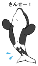 Round orcas sticker #6507962