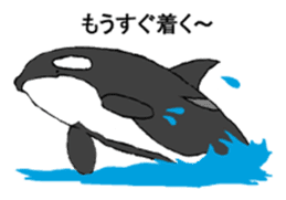 Round orcas sticker #6507965