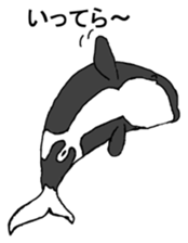Round orcas sticker #6507967