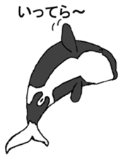 Round orcas sticker #6507967