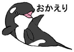 Round orcas sticker #6507971