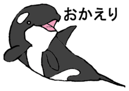 Round orcas sticker #6507971